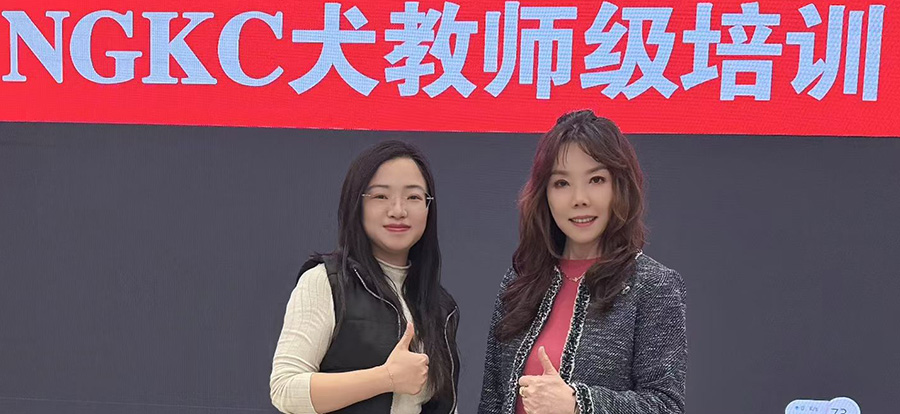 喜报｜宠美奇石老师获NGKC犬教师级证书！泰州宠美培训再攀新高