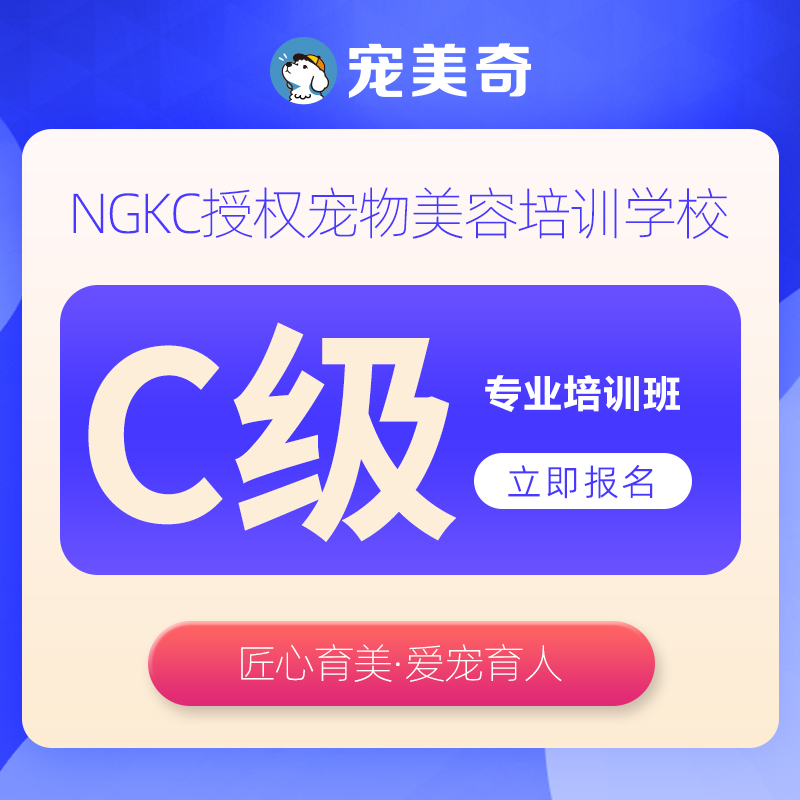 宠物美容师C级专业培训班