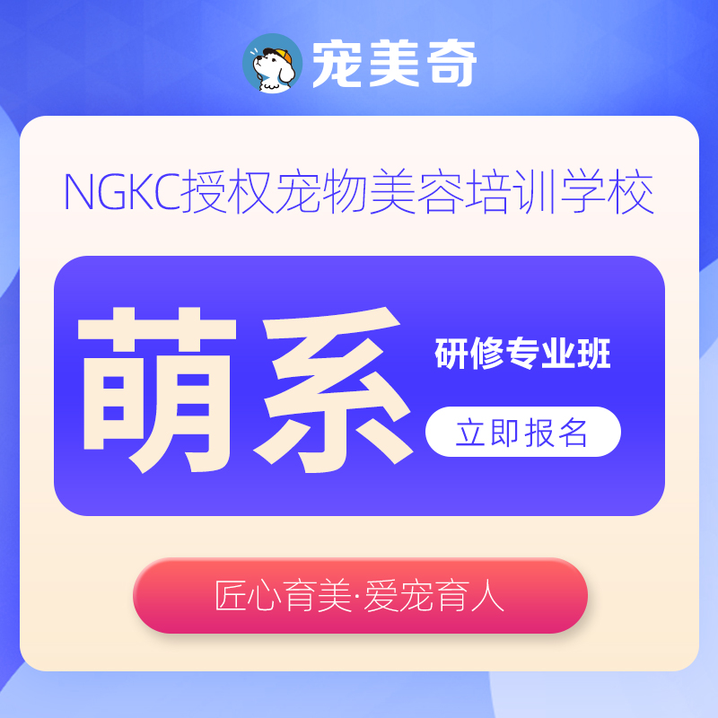 宠物美容师萌系研修专业培训班