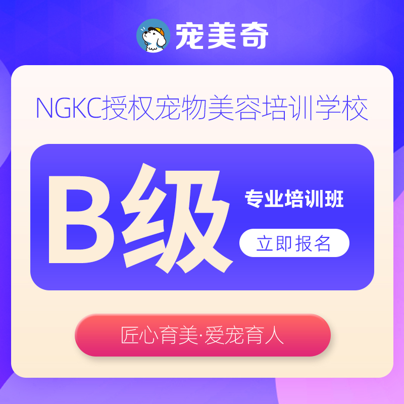 宠物美容师B级专业培训班